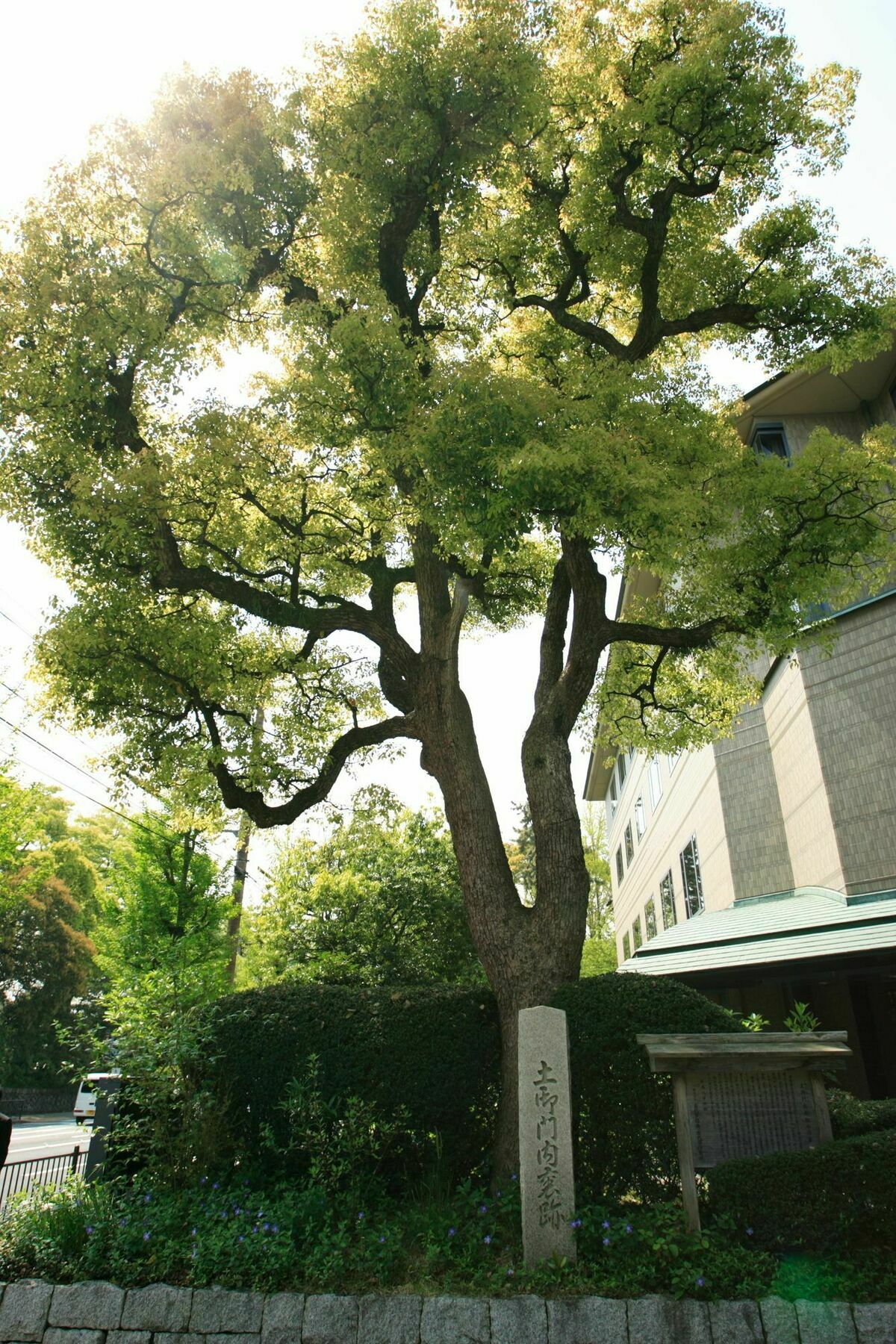 Kyoto Garden Palace Zewnętrze zdjęcie